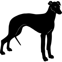 (image for) Greyhound 7 =