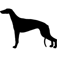 (image for) Greyhound 8 _