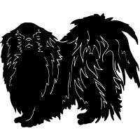 (image for) Japanese Chin =