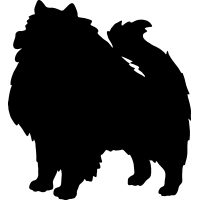 (image for) Keeshond 3 =