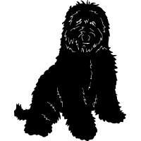 (image for) Labradoodle 1 =
