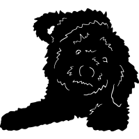 (image for) Labradoodle 2 =