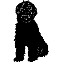 (image for) Labradoodle 4 =