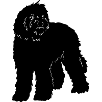 (image for) Labradoodle =