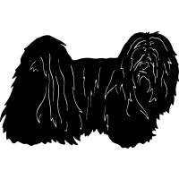(image for) Lhasa Apso 4 =