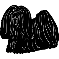 (image for) Lhasa Apso 5 =