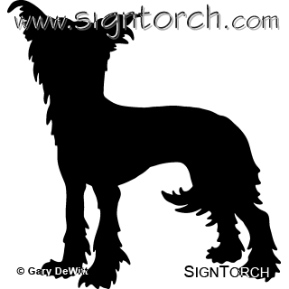 (image for) Chinese Crested 5 _