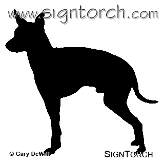 (image for) English Toy Terrier _