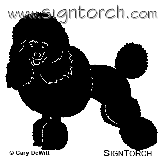 (image for) Miniature Poodle =