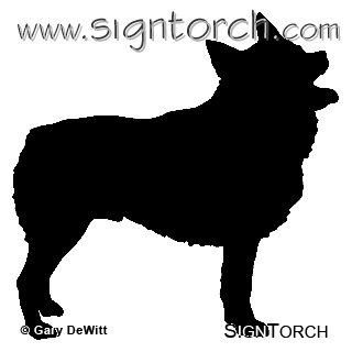 (image for) Schipperke _