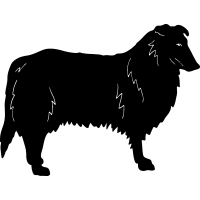 (image for) Collie =