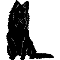 (image for) Collie Rough 2 =