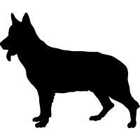 (image for) German Shepherd 2 _