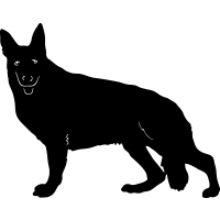 (image for) German Shepherd 5 =