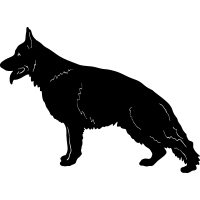 (image for) German Shepherd 6 =