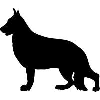 (image for) German Shepherd 7 =