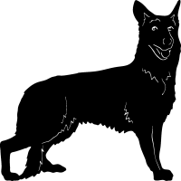 (image for) German Shepherd =