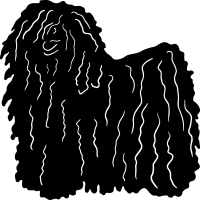 (image for) Hungarian Puli =