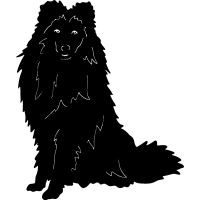(image for) Shetland Sheepdog =
