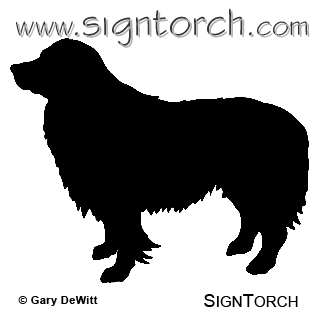 (image for) Border Collie 02 _