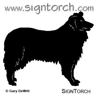 (image for) Rough Collie =