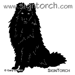 (image for) Shetland Sheepdog =