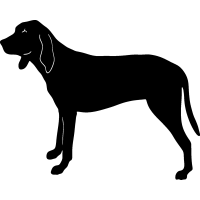(image for) Coonhound =