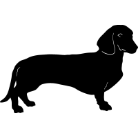 (image for) Dachshund 2 =