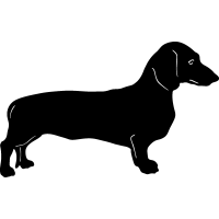 (image for) Dachshund 3 =