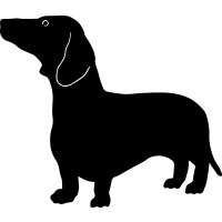 (image for) Dachshund 5 =