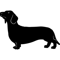 (image for) Dachshund 6 =