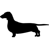 (image for) Dachshund 7 =