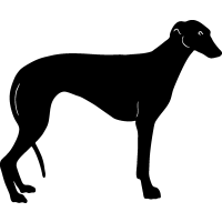 (image for) Greyhound 5 =