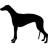 (image for) Greyhound _
