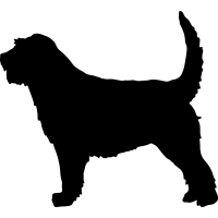 (image for) Otterhound 2 _