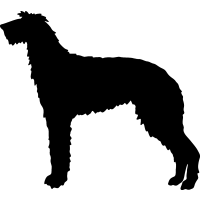 (image for) Scottish Deerhound _