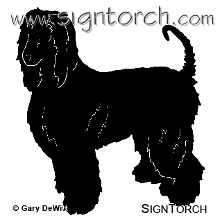 (image for) Afghan Hound 2 =