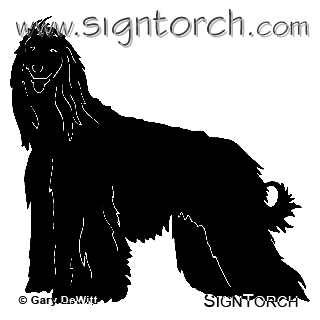 (image for) Afghan Hound 4 =