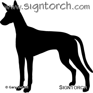 (image for) Ibizan Hound 2 _