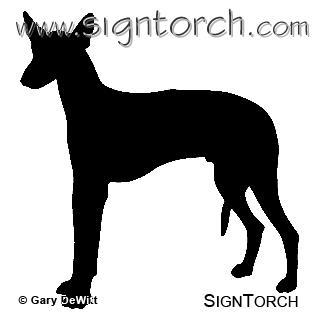 (image for) Ibizan Hound _