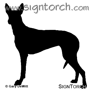 (image for) Pharaoh Hound _