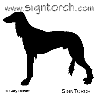 (image for) Saluki _