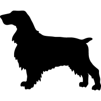 (image for) Field Spaniel 2 _