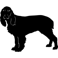 (image for) Field Spaniel =
