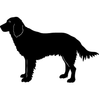 (image for) French Spaniel =