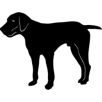 (image for) German Shorthaired 3 =