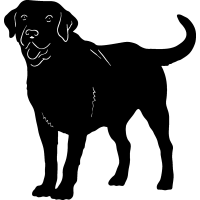 (image for) Labrador Retrieve 2 =