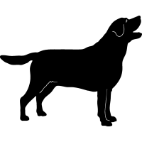 (image for) Labrador Retrieve 3 =