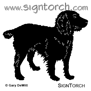 (image for) Boykin Spaniel =