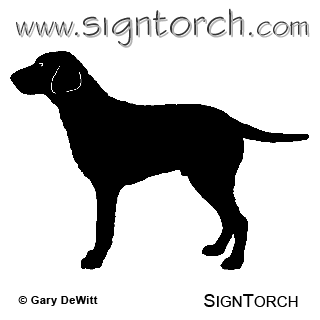 (image for) Curly Coated Retriever =